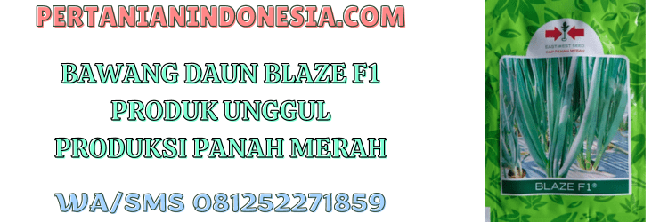 bawang,bawang daun,blaze f1,panah merah,cap panah merah,pertanian indonesia